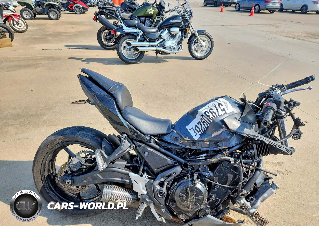 2024 Kawasaki Ex650 P – zdjęcie 1 z 9