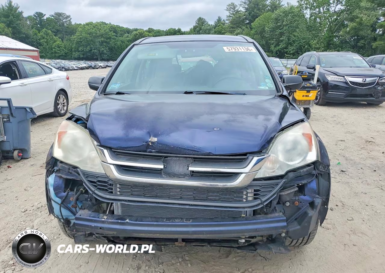 2010 Honda Cr-V Lx VIN:5J6RE4H31AL046851 - 5