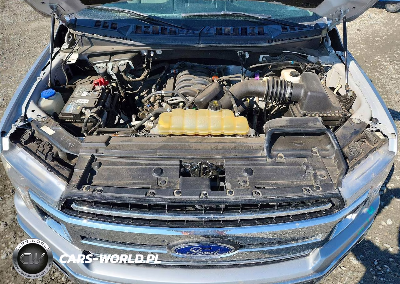 2019 Ford F150 Supercrew VIN:1FTFW1E58KFB96689 - 11
