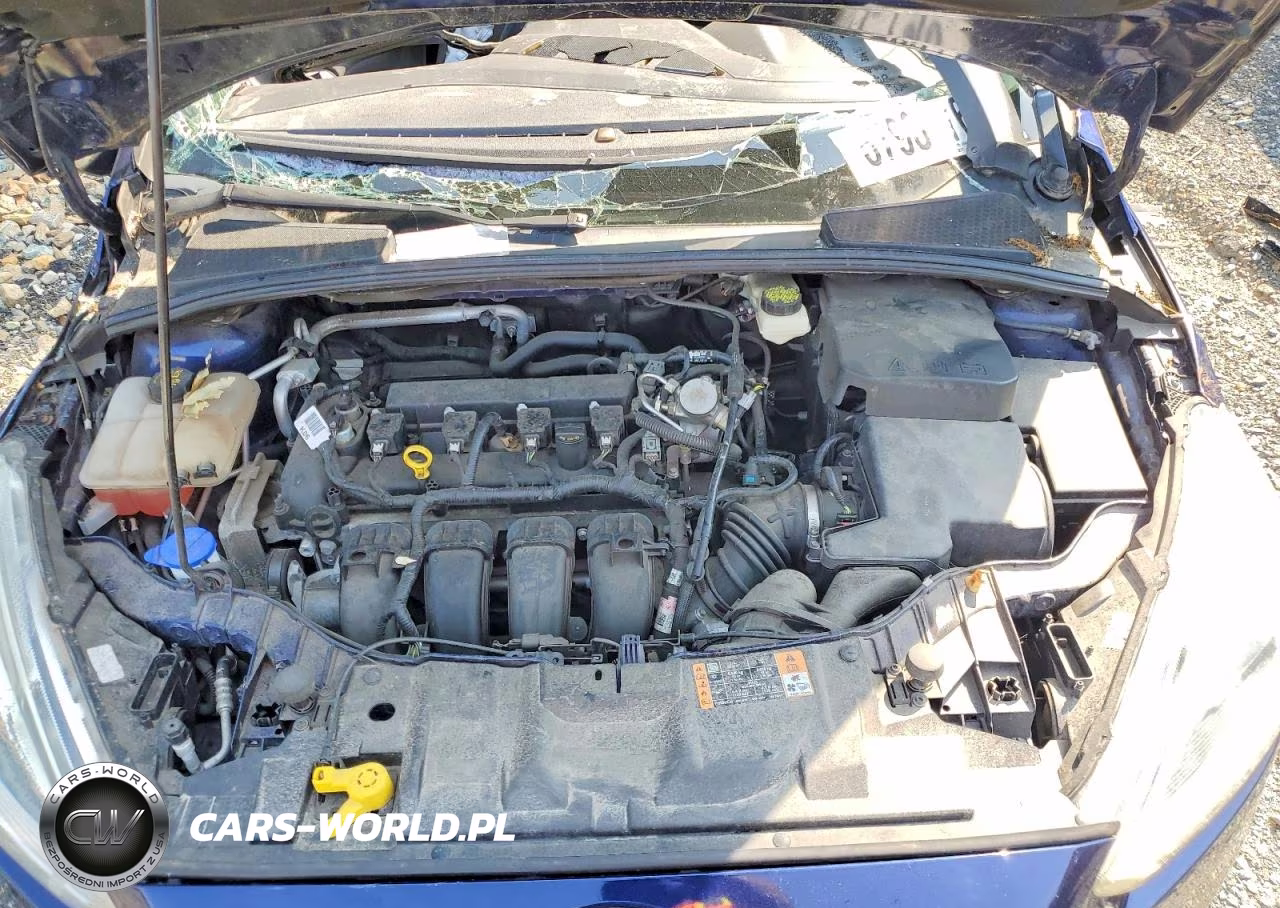2017 Ford Focus Titanium VIN:1FADP3N27HL202777 - 11