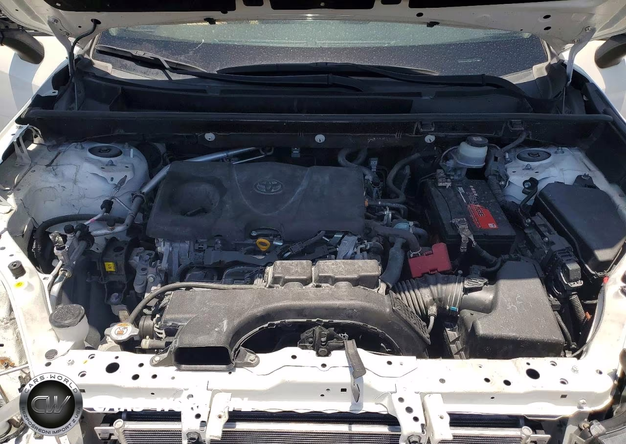 TOYOTA RAV4 LE VIN:JTMH1RFV1MD071925 - 12