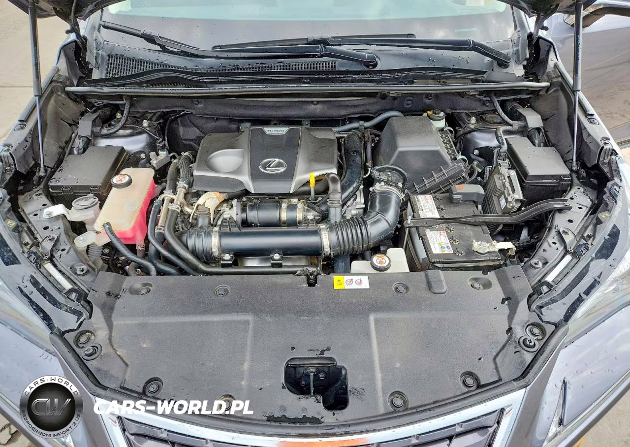 2018 Lexus Nx 300 Base VIN:JTJBARBZ5J2163946 - 12