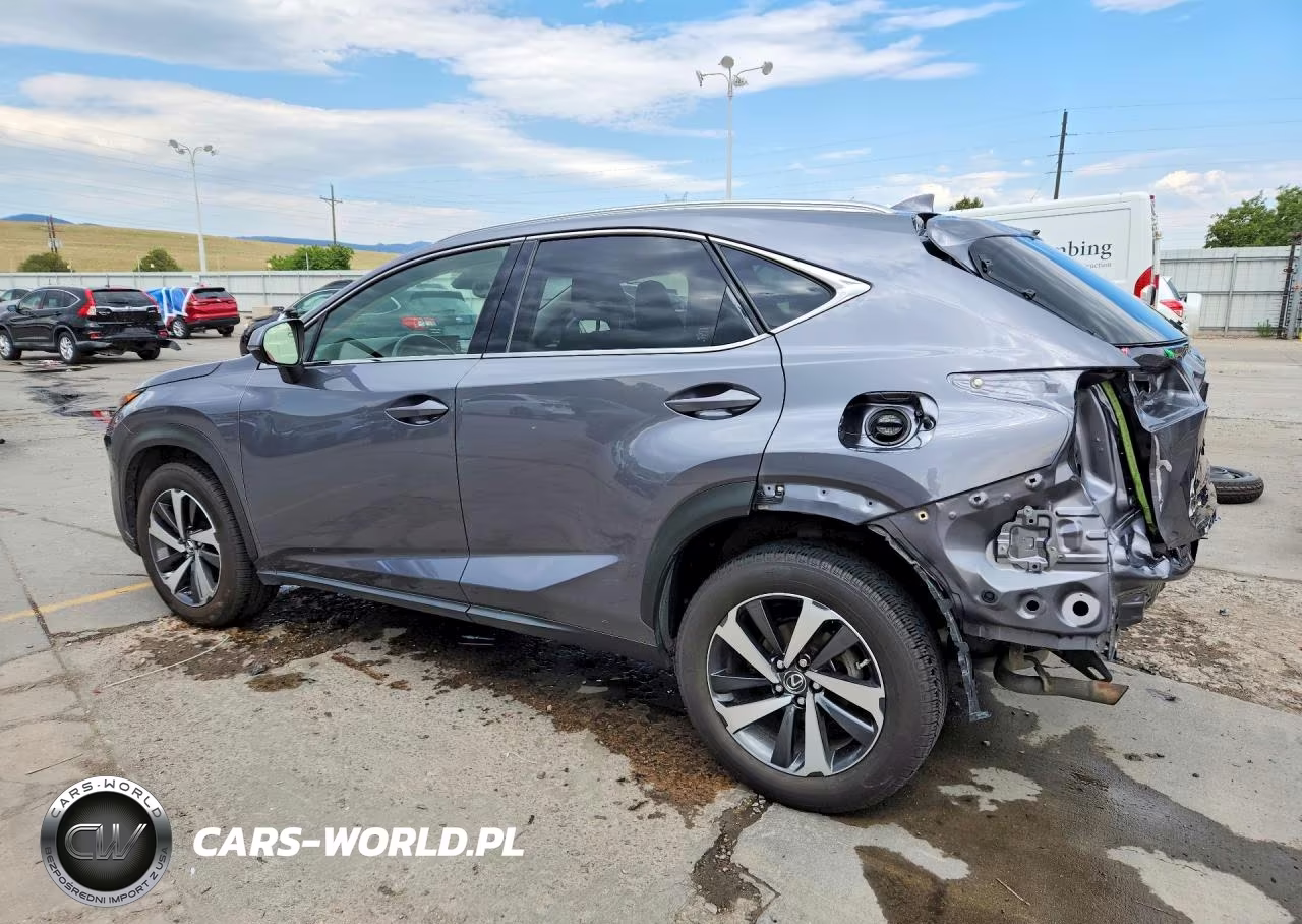 2018 Lexus Nx 300 Base VIN:JTJBARBZ5J2163946 - 2
