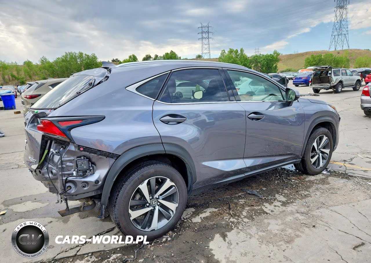 2018 Lexus Nx 300 Base VIN:JTJBARBZ5J2163946 - 3