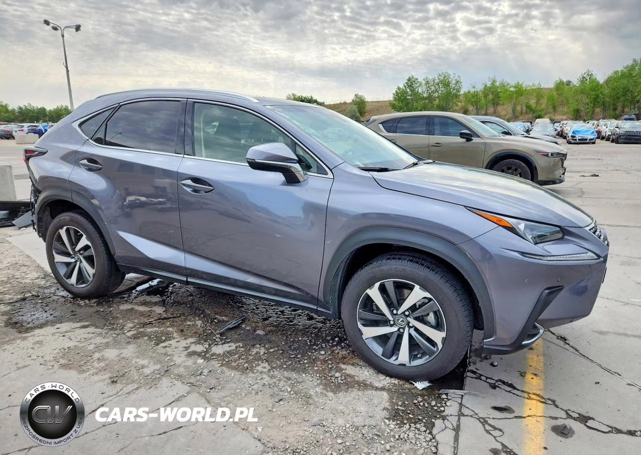 2018 Lexus Nx 300 Base VIN:JTJBARBZ5J2163946 - 4
