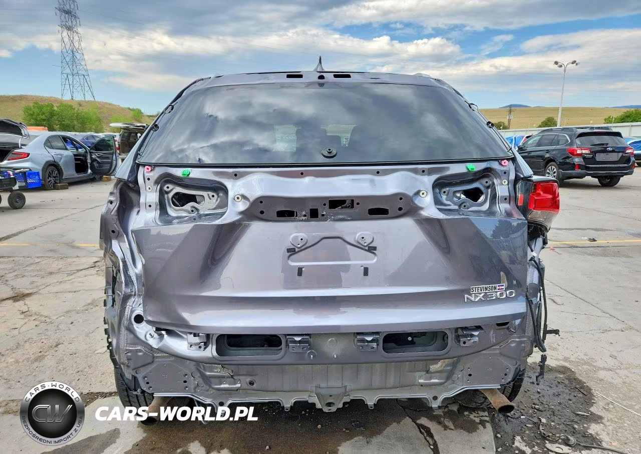 2018 Lexus Nx 300 Base VIN:JTJBARBZ5J2163946 - 6