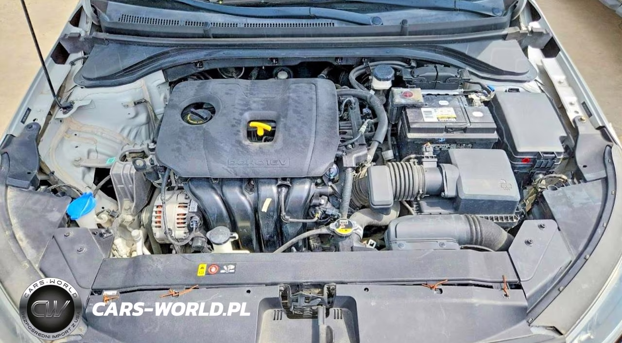 2020 Hyundai Elantra Sel VIN:5NPD84LF8LH525820 - 11