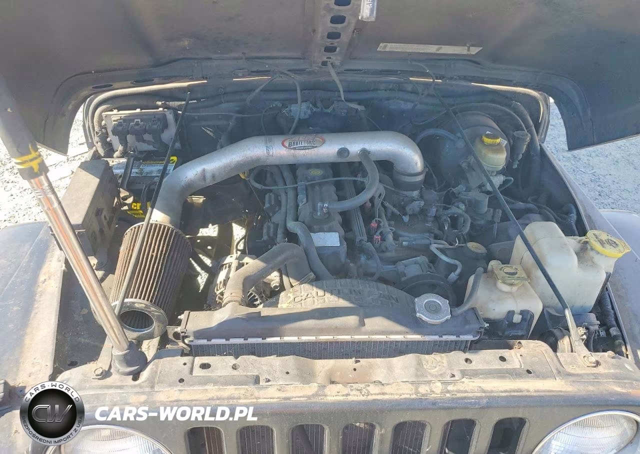 2003 Jeep Wrangler Commando VIN:1J4FA39S33P323221 - 11