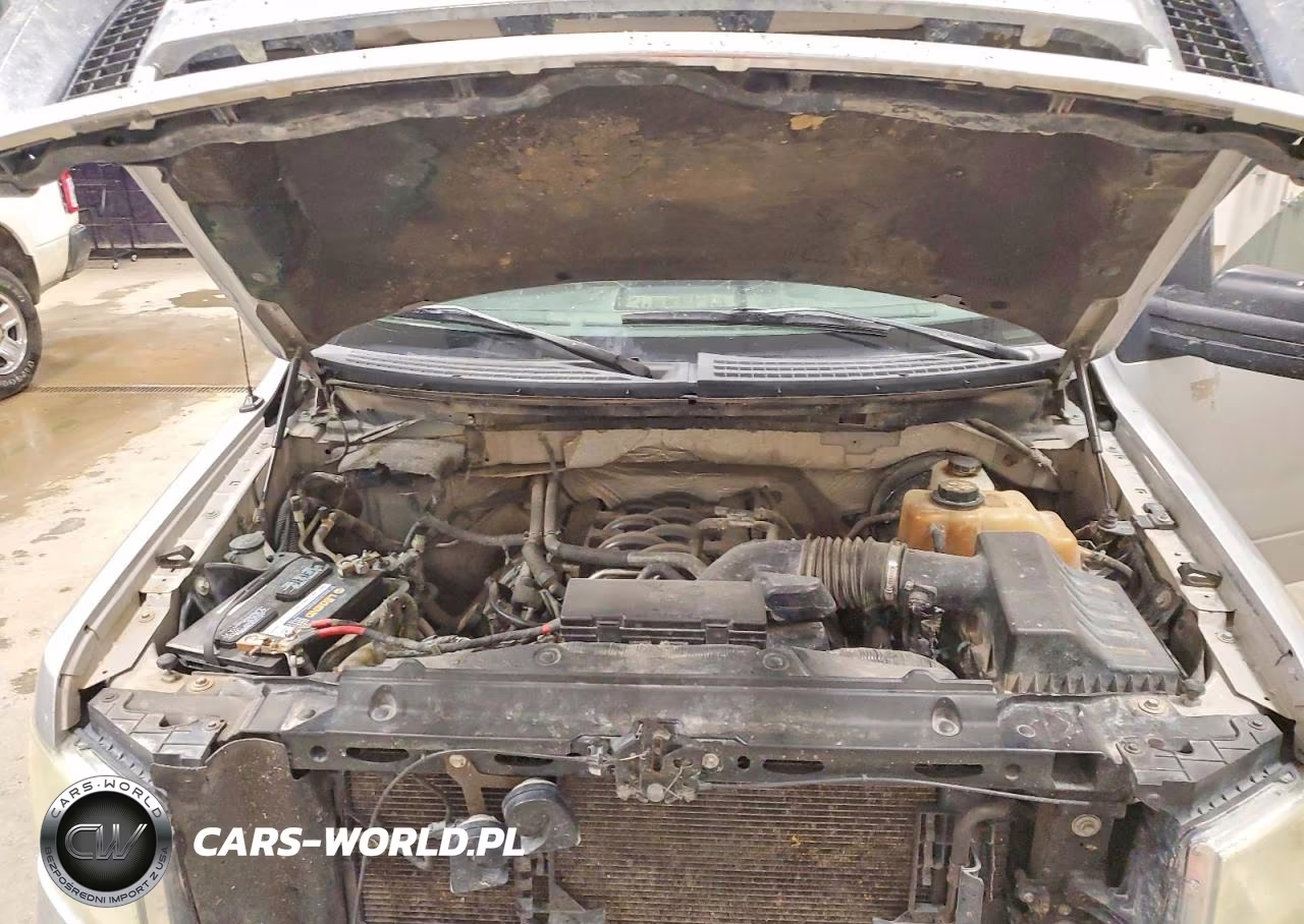 2011 Ford F150 Supercrew VIN:1FTFW1CF4BKD21965 - 11