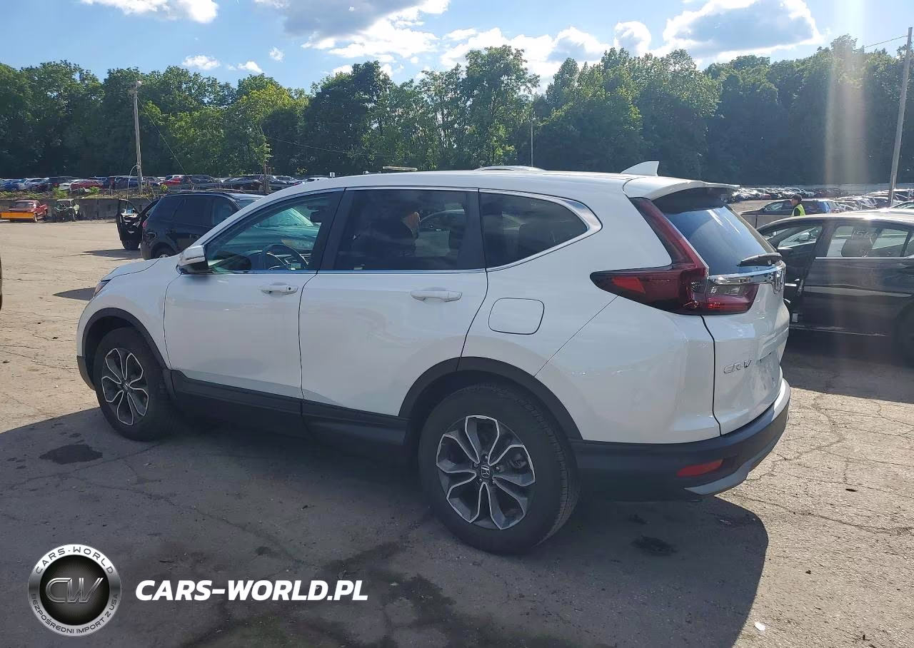 2020 Honda Cr-V Exl VIN:2HKRW2H86LH647702 - 2