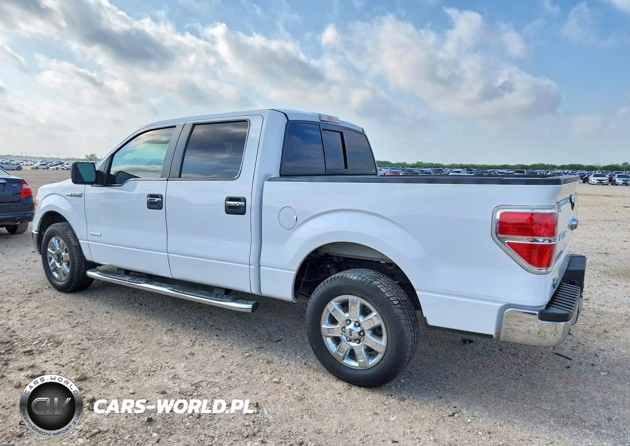 2014 Ford F150 Supercrew VIN:1FTFW1CT3EKG19658 - 2