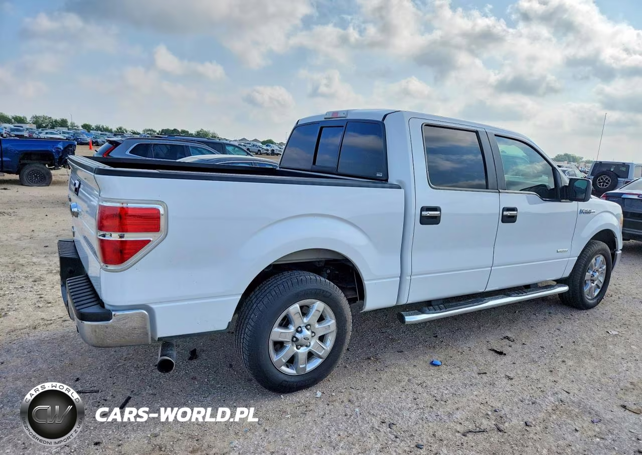 2014 Ford F150 Supercrew VIN:1FTFW1CT3EKG19658 - 3