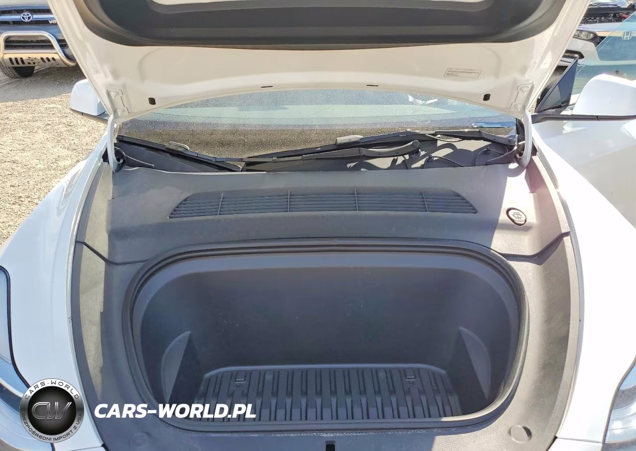2023 Tesla Model Y VIN:7SAYGDEE7PA065353 - 11
