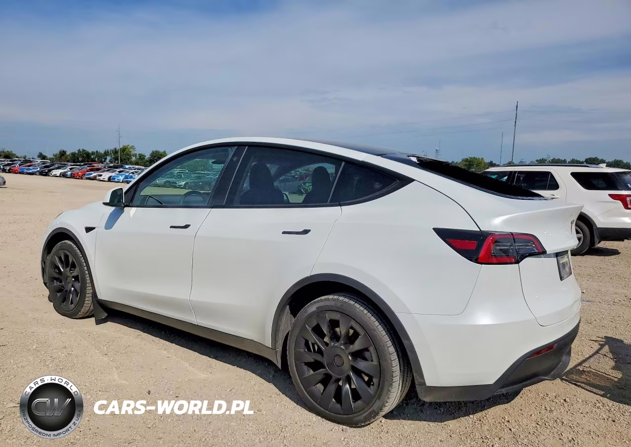 2023 Tesla Model Y VIN:7SAYGDEE7PA065353 - 2