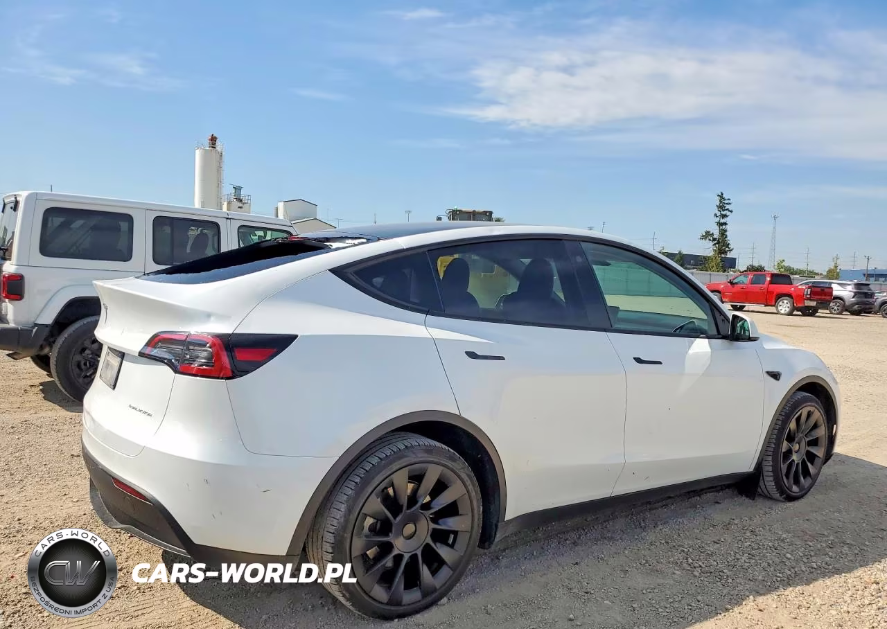 2023 Tesla Model Y VIN:7SAYGDEE7PA065353 - 3