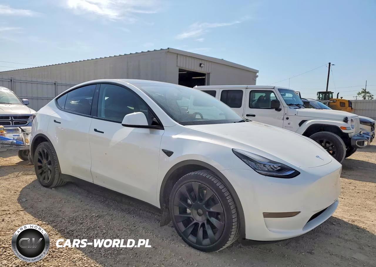 2023 Tesla Model Y VIN:7SAYGDEE7PA065353 - 4