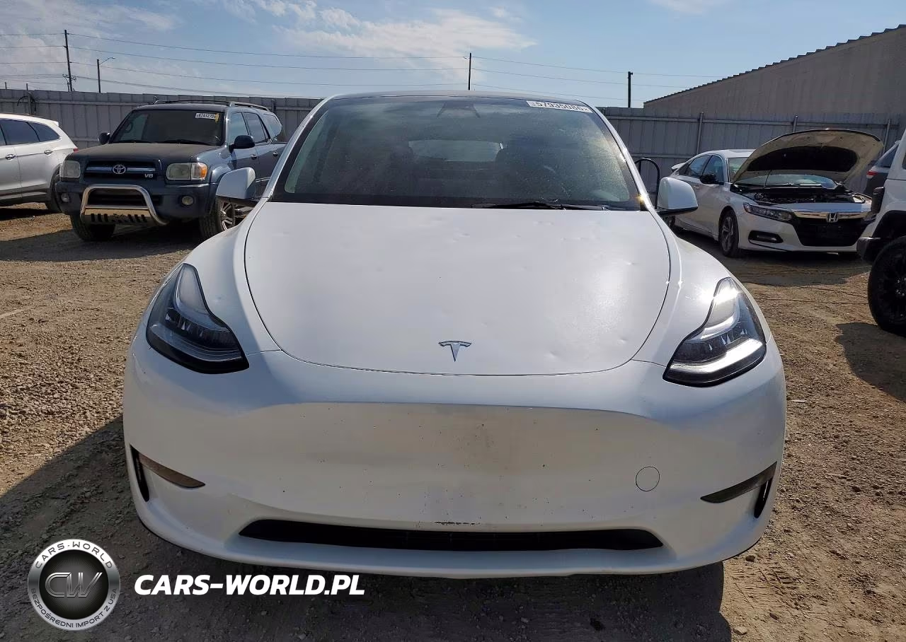 2023 Tesla Model Y VIN:7SAYGDEE7PA065353 - 5