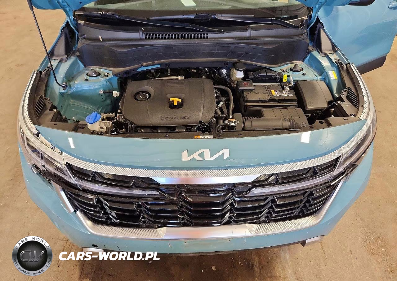 2024 Kia Seltos Ex VIN:KNDERCAA9R7519430 - 11