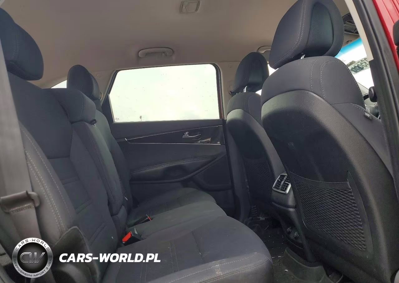 2016 Kia Sorento Lx VIN:5XYPGDA36GG166473 - 10