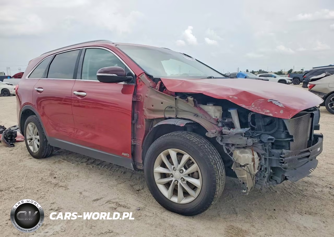 2016 Kia Sorento Lx VIN:5XYPGDA36GG166473 - 4