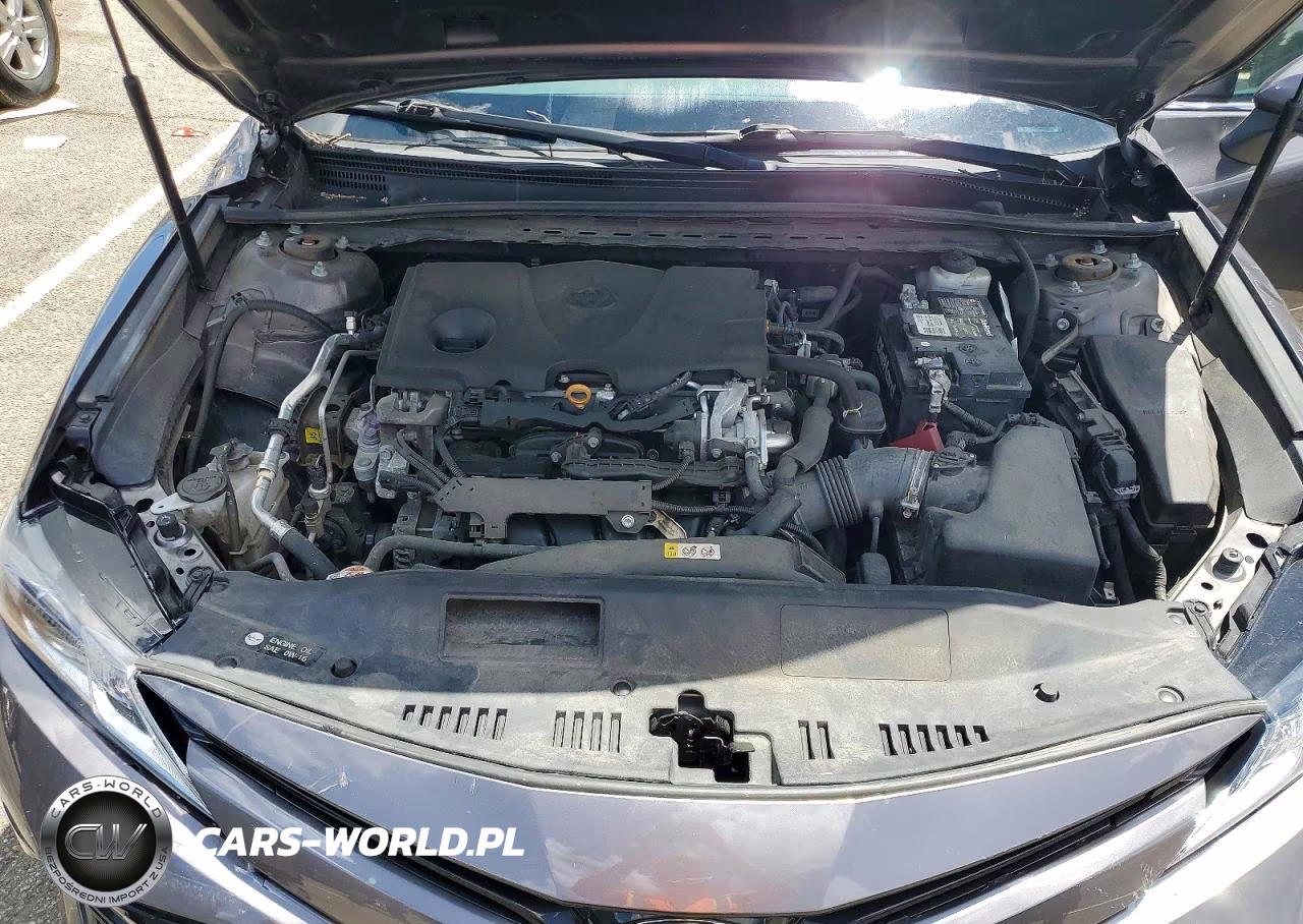 2020 Toyota Camry Le VIN:4T1C11AK0LU928108 - 11