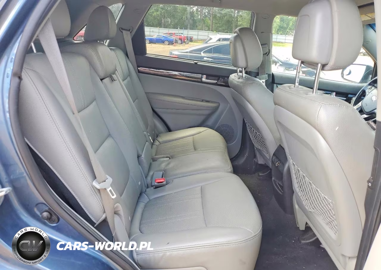 2014 Kia Sorento Lx VIN:5XYKT3A6XEG444458 - 10