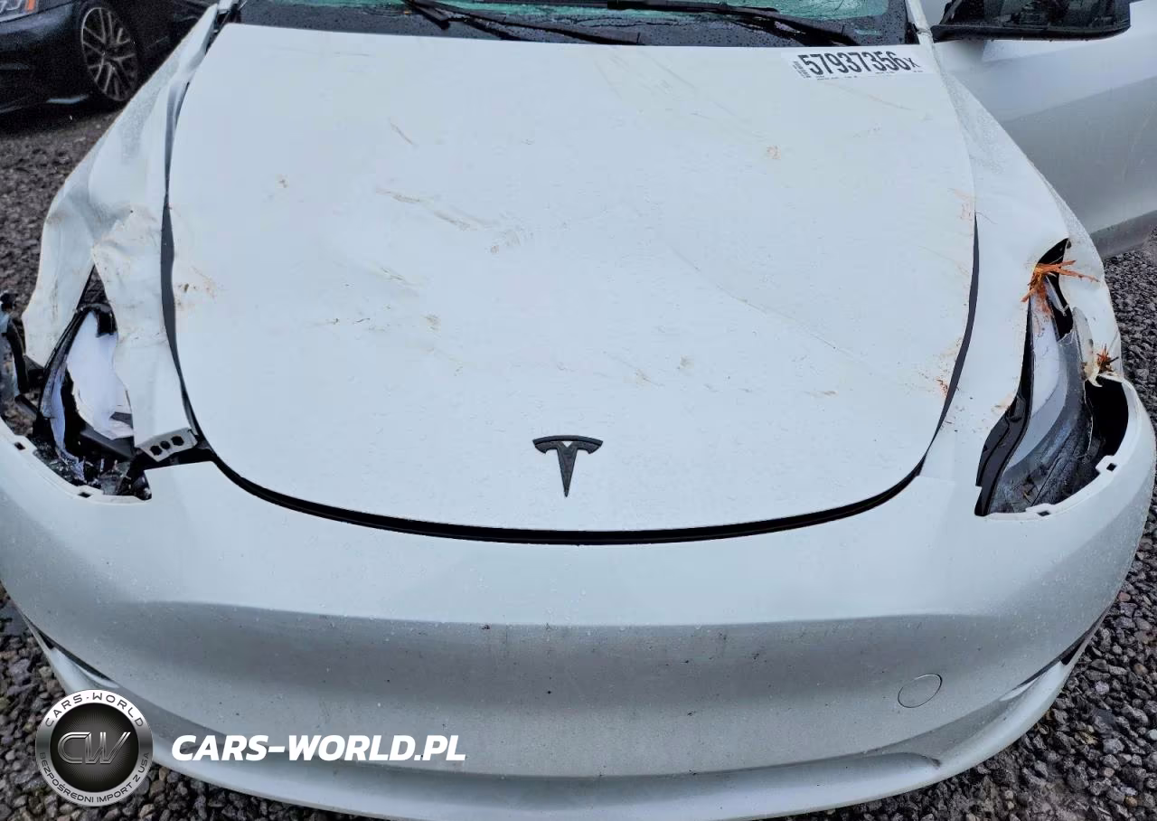 2024 Tesla Model Y VIN:7SAYGDED0RF103647 - 12