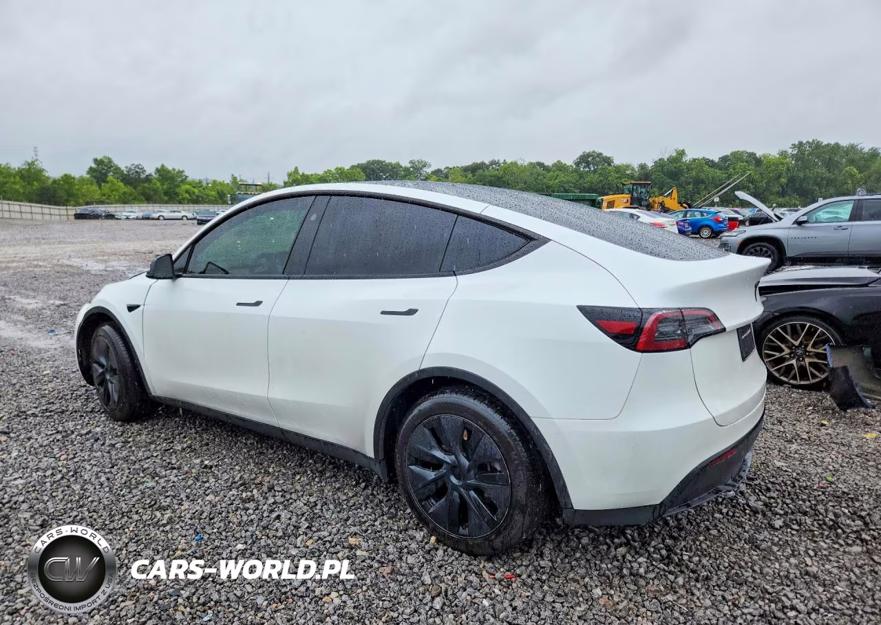 2024 Tesla Model Y VIN:7SAYGDED0RF103647 - 2