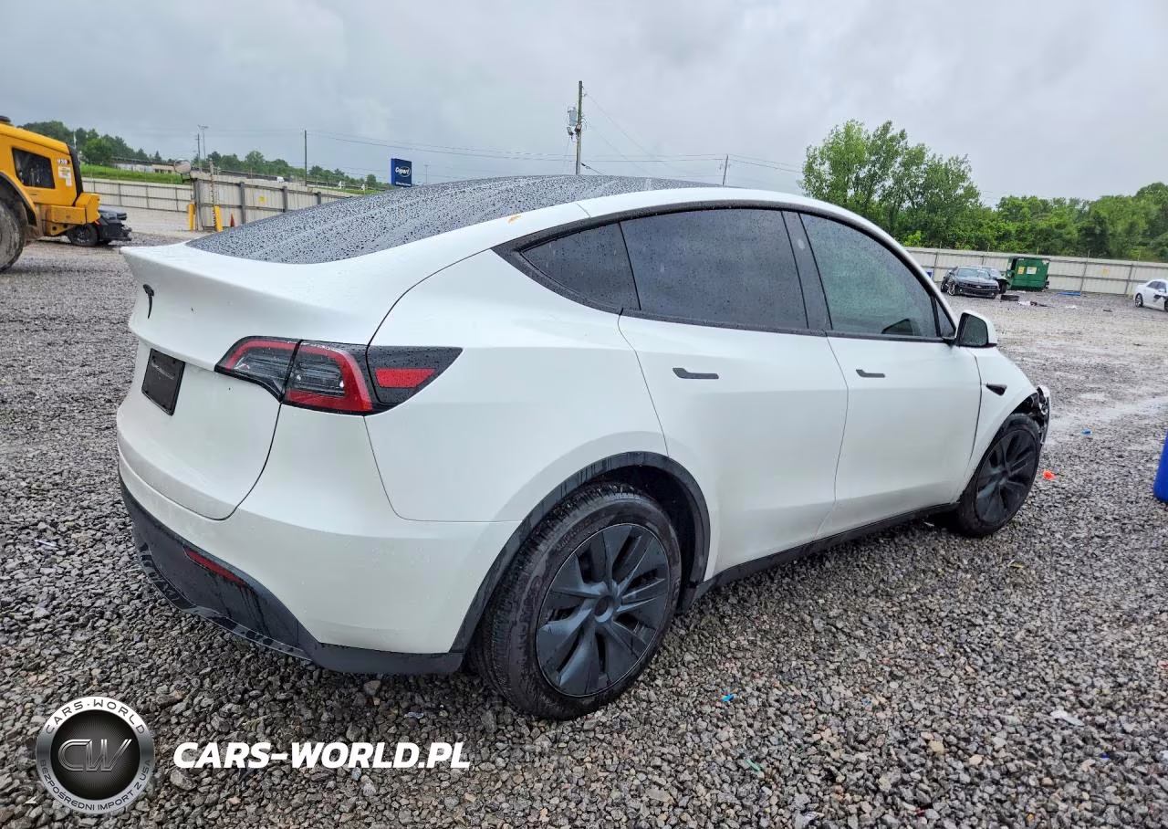 2024 Tesla Model Y VIN:7SAYGDED0RF103647 - 3