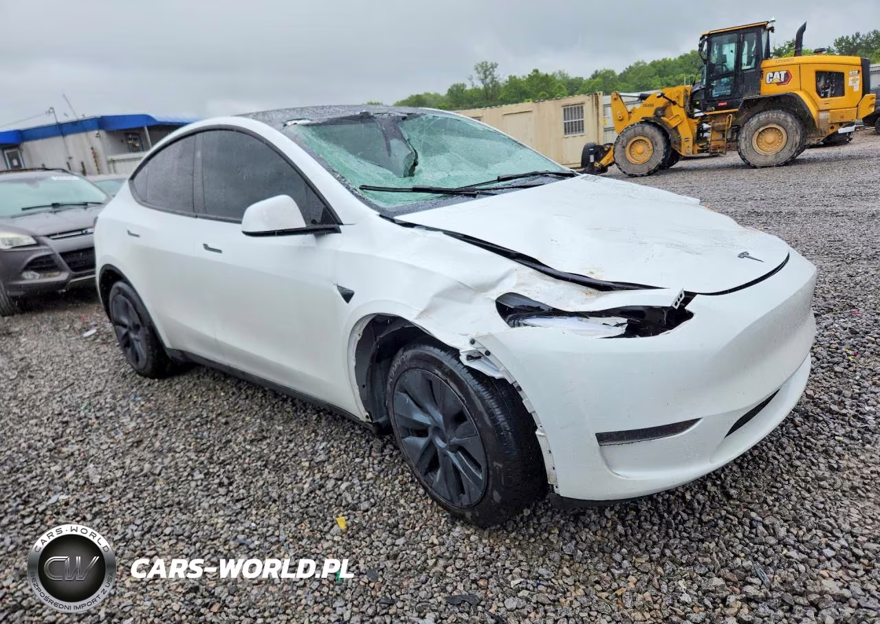 2024 Tesla Model Y VIN:7SAYGDED0RF103647 - 4