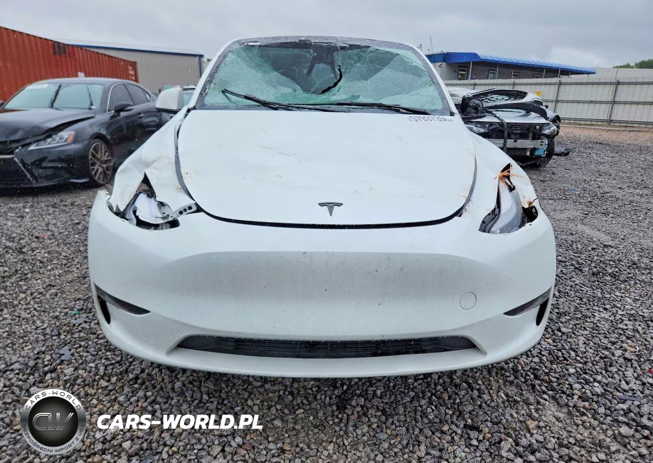2024 Tesla Model Y VIN:7SAYGDED0RF103647 - 5