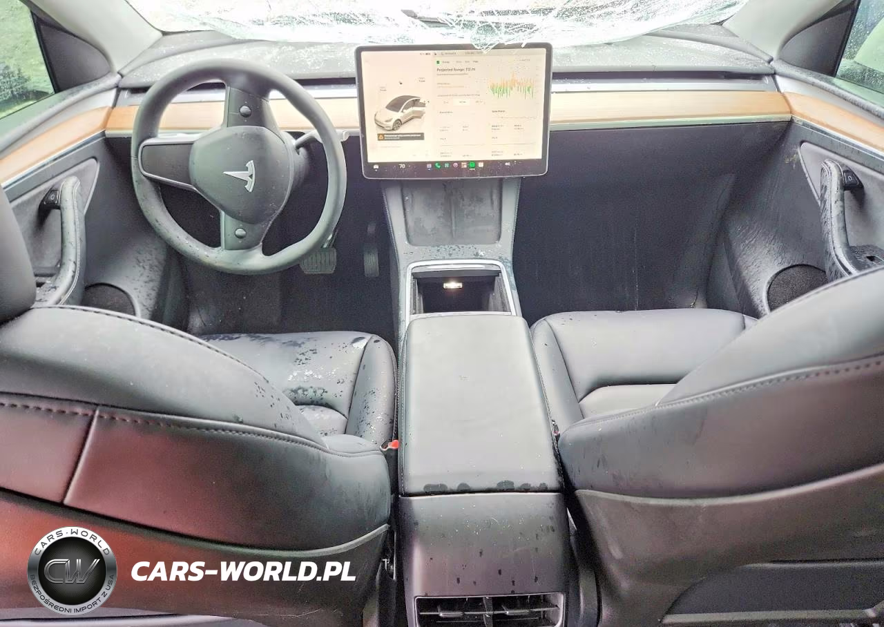2024 Tesla Model Y VIN:7SAYGDED0RF103647 - 8