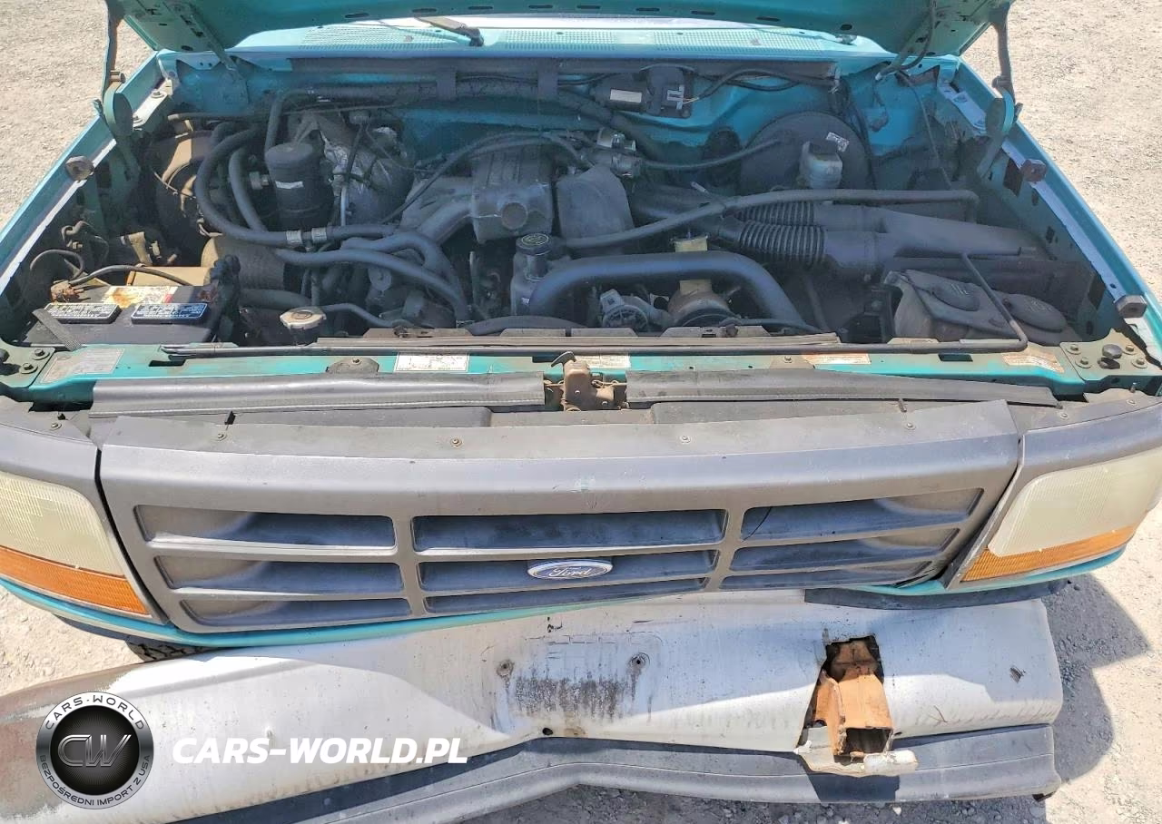 1995 Ford F150 VIN:1FTEF15Y4SLB46184 - 11