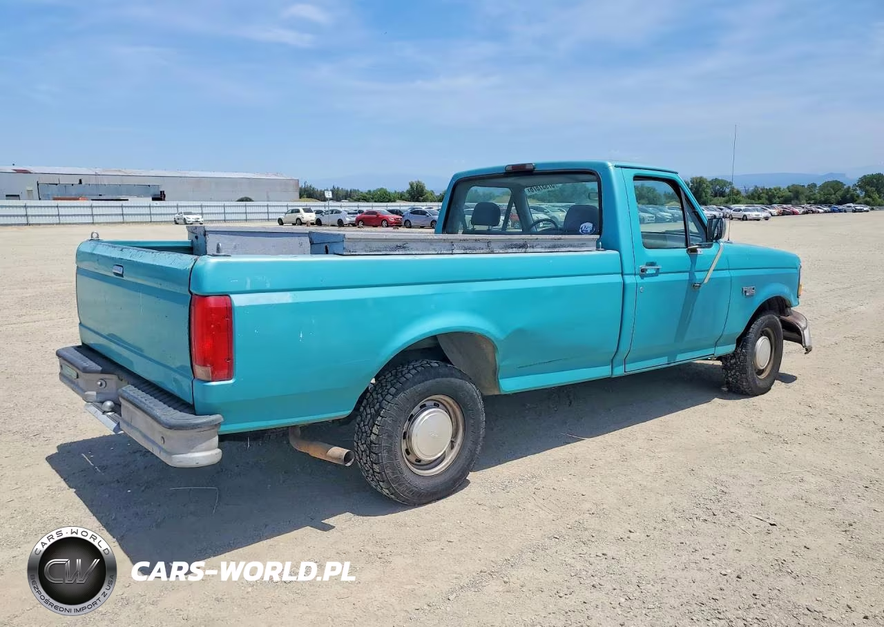 1995 Ford F150 VIN:1FTEF15Y4SLB46184 - 3
