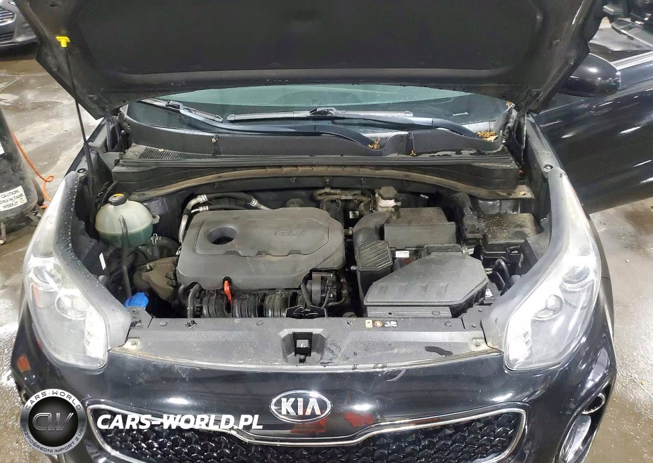 2017 Kia Sportage Lx VIN:KNDPMCAC4H7078717 - 11