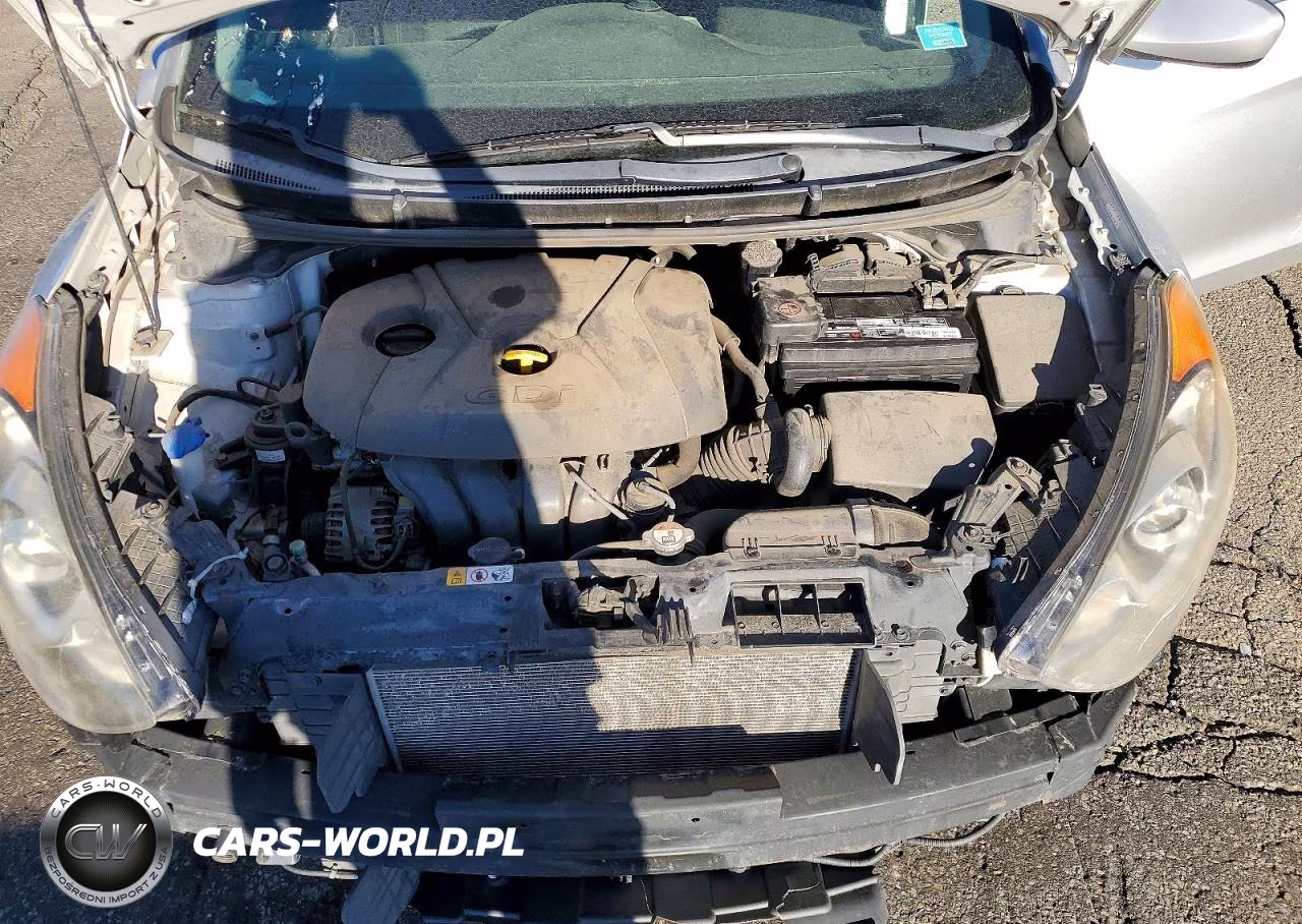 2016 Hyundai Elantra Gt Base VIN:KMHD35LH4GU252775 - 11