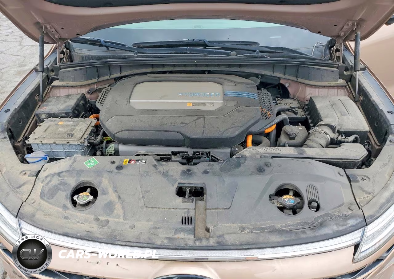 2020 Hyundai Nexo Limited VIN:KM8J84A66LU008510 - 12