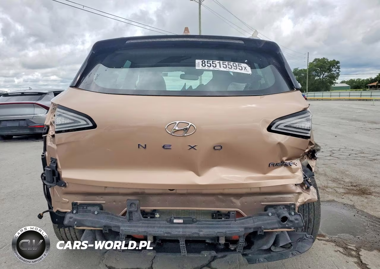 2020 Hyundai Nexo Limited VIN:KM8J84A66LU008510 - 6