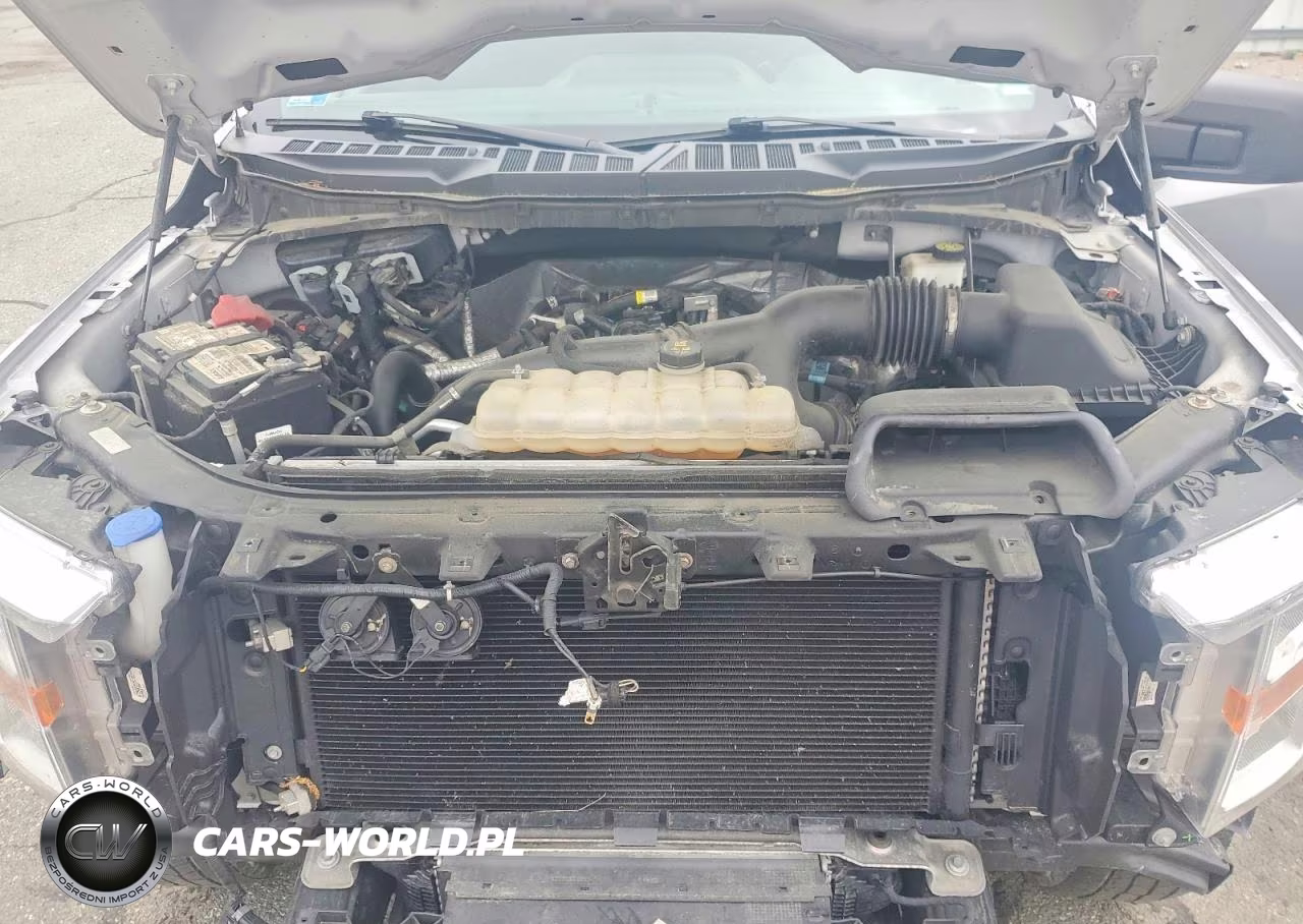 2021 Ford F150 Supercrew VIN:1FTEW1EP6MFA57497 - 11