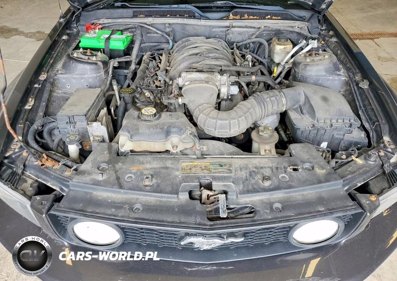 2007 Ford Mustang Gt VIN:1ZVFT82H975241505 - 11