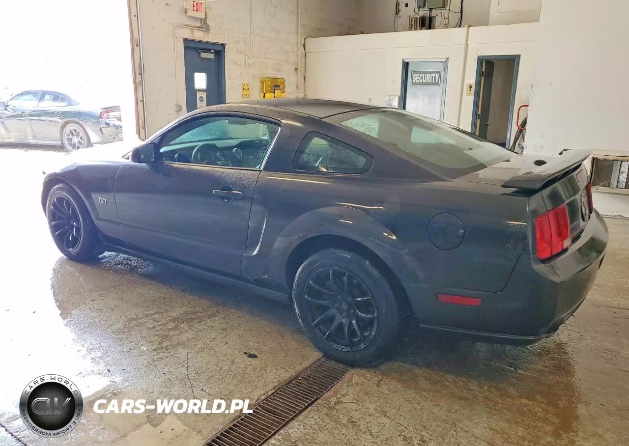 2007 Ford Mustang Gt VIN:1ZVFT82H975241505 - 2