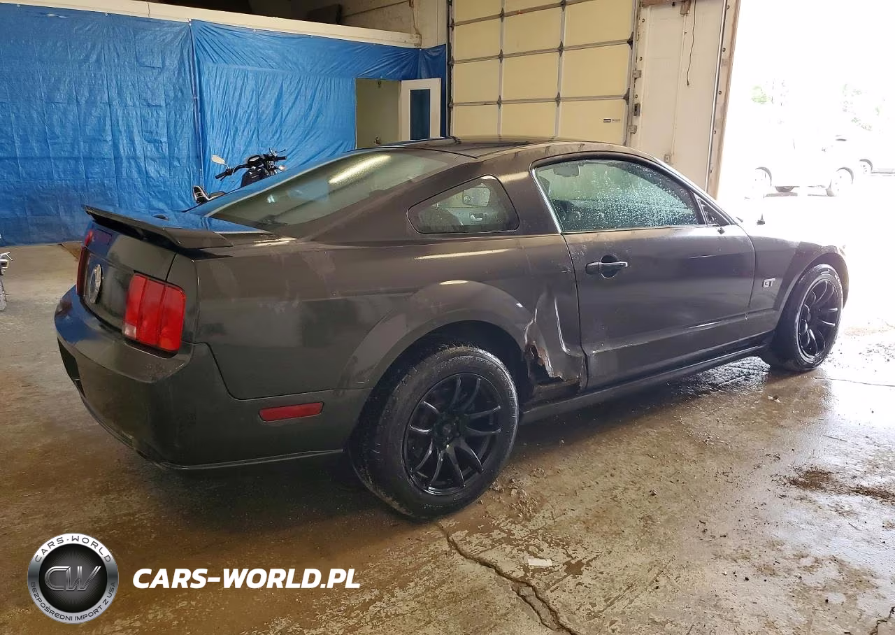 2007 Ford Mustang Gt VIN:1ZVFT82H975241505 - 3