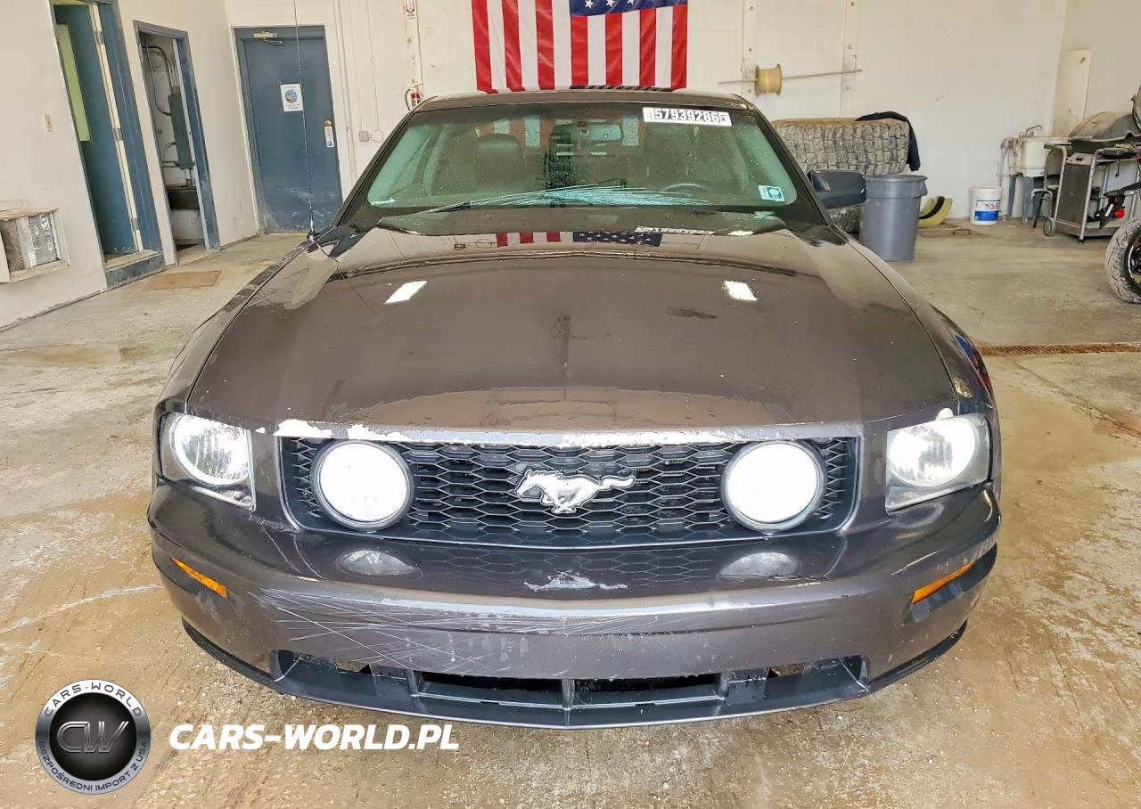 2007 Ford Mustang Gt VIN:1ZVFT82H975241505 - 5
