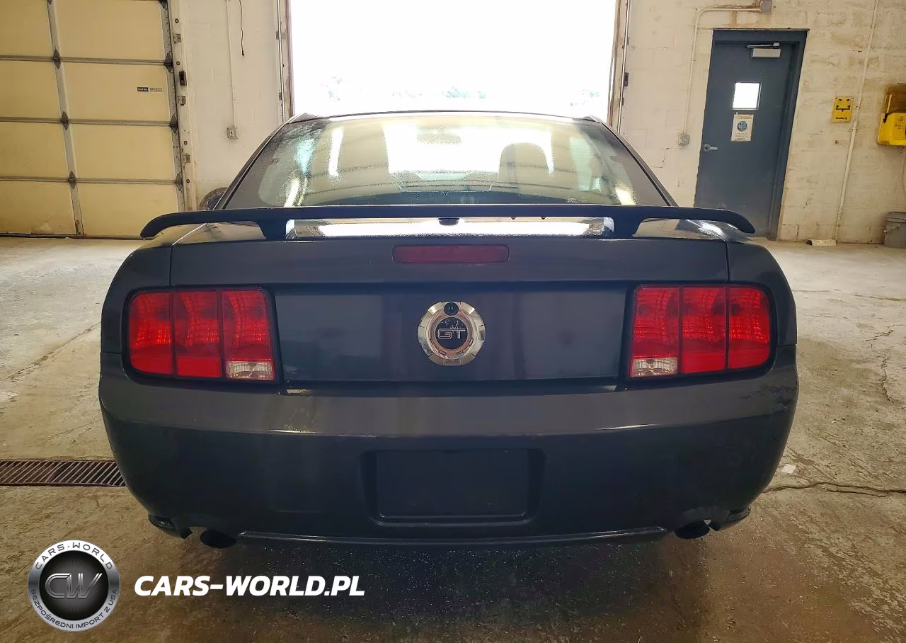 2007 Ford Mustang Gt VIN:1ZVFT82H975241505 - 6