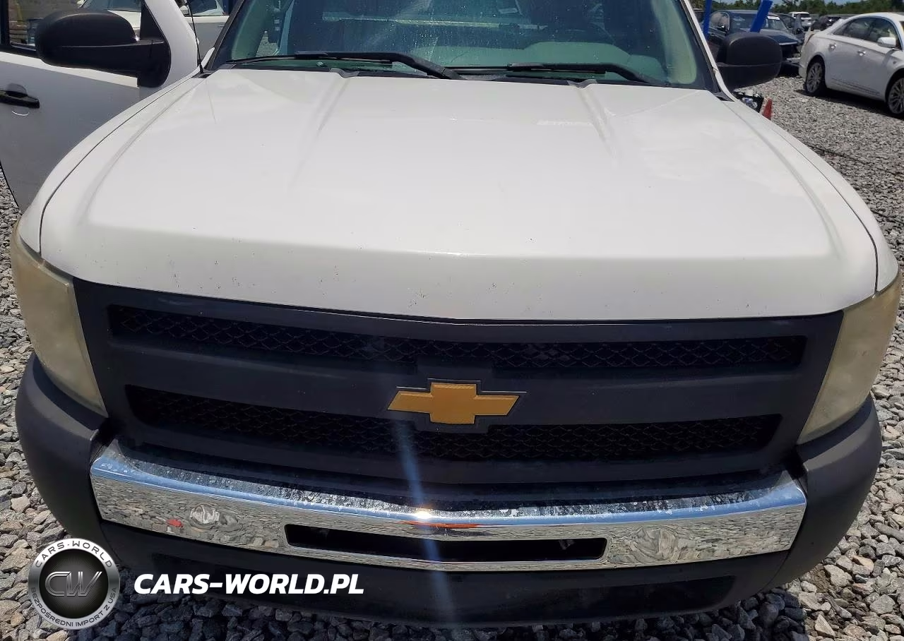 2011 Chevrolet Silverado C1500 VIN:1GCNCPEX2BZ228544 - 11