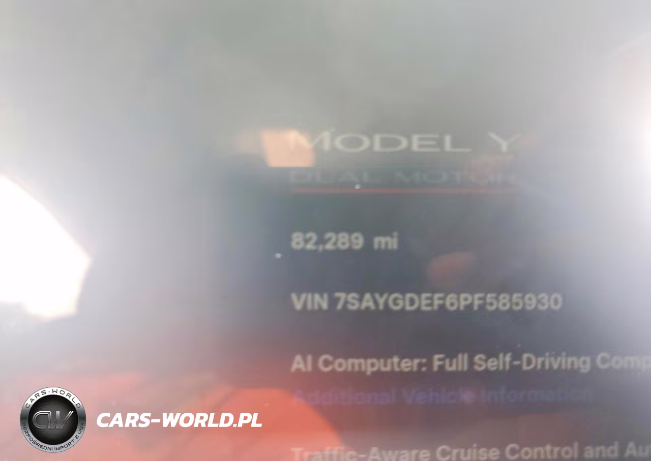 2023 Tesla Model Y VIN:7SAYGDEF6PF585930 - 9