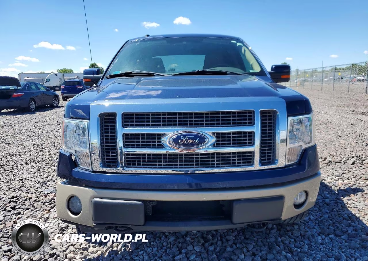 2009 Ford F150 Supercrew VIN:1FTPW14V79FA81162 - 5