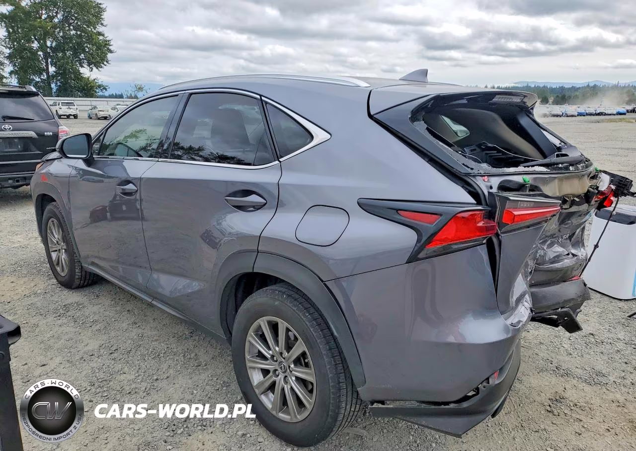 2018 Lexus Nx 300 Base VIN:JTJYARBZ9J2101900 - 2