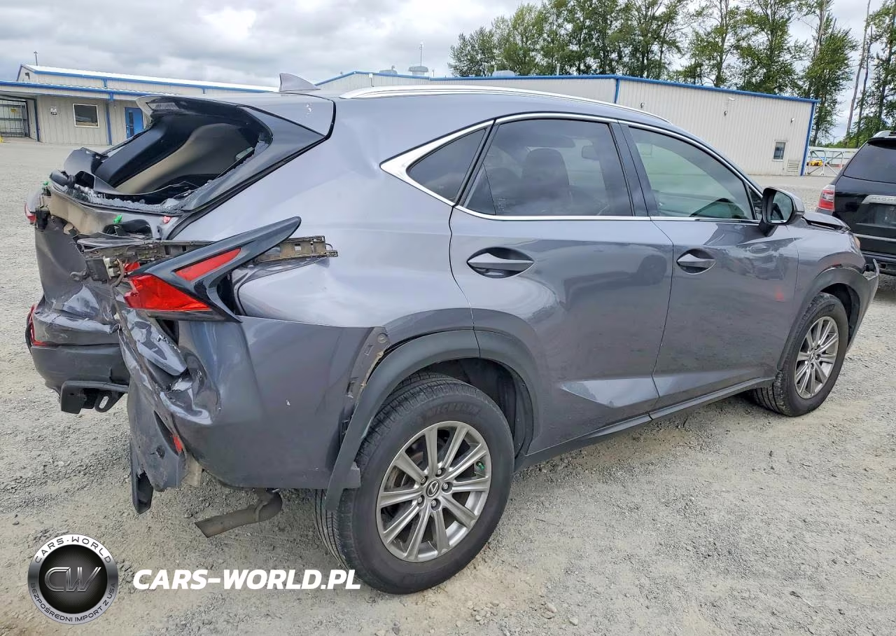 2018 Lexus Nx 300 Base VIN:JTJYARBZ9J2101900 - 3