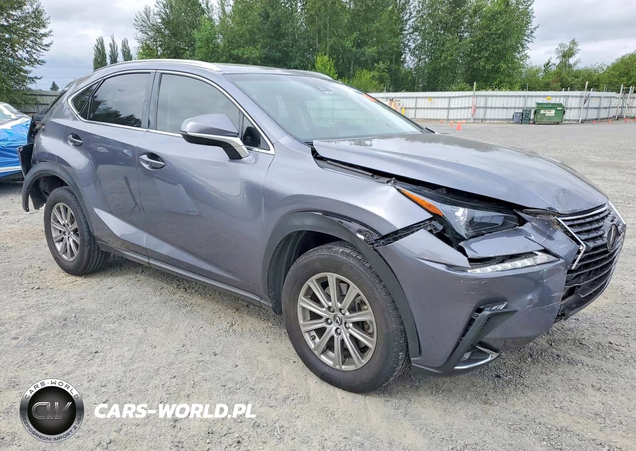 2018 Lexus Nx 300 Base VIN:JTJYARBZ9J2101900 - 4